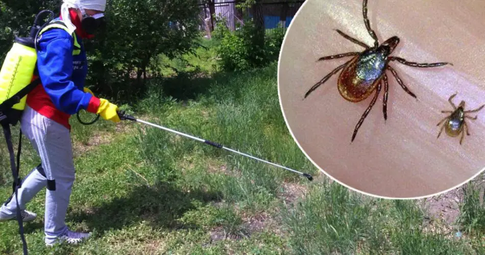Get Rid of Ticks on Your Property Once and For All: A Fast Proven ...