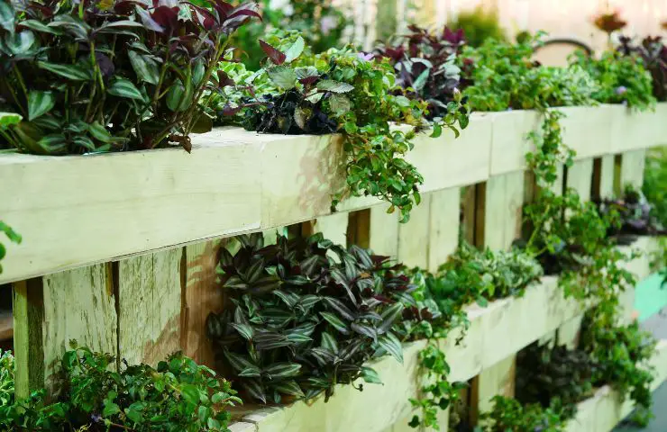 🌿 Vertical Garden: How to Create One at Home in Just a Few Steps ...